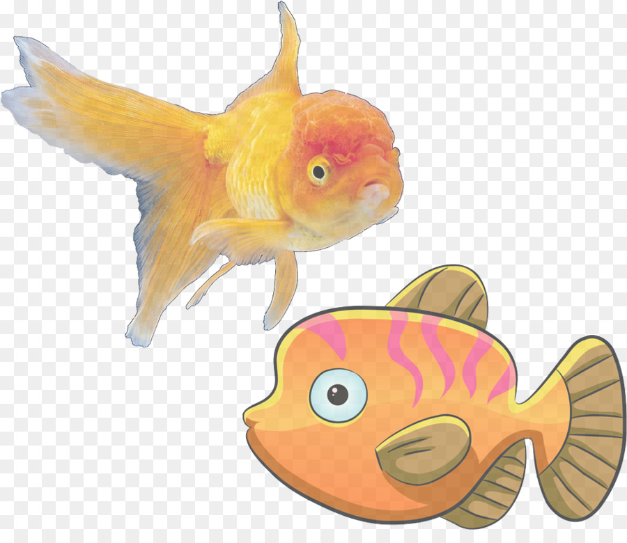 Los Peces，Pez PNG