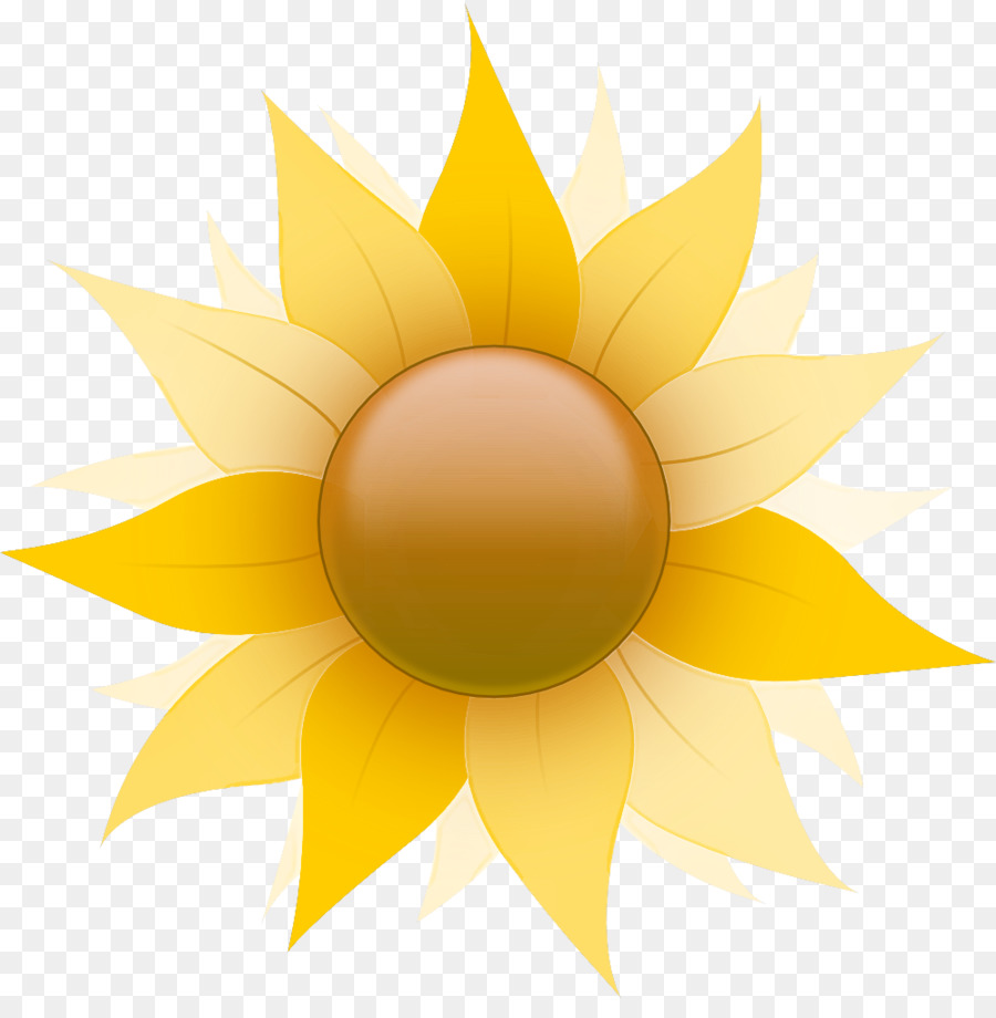 Sol，Luz Solar PNG