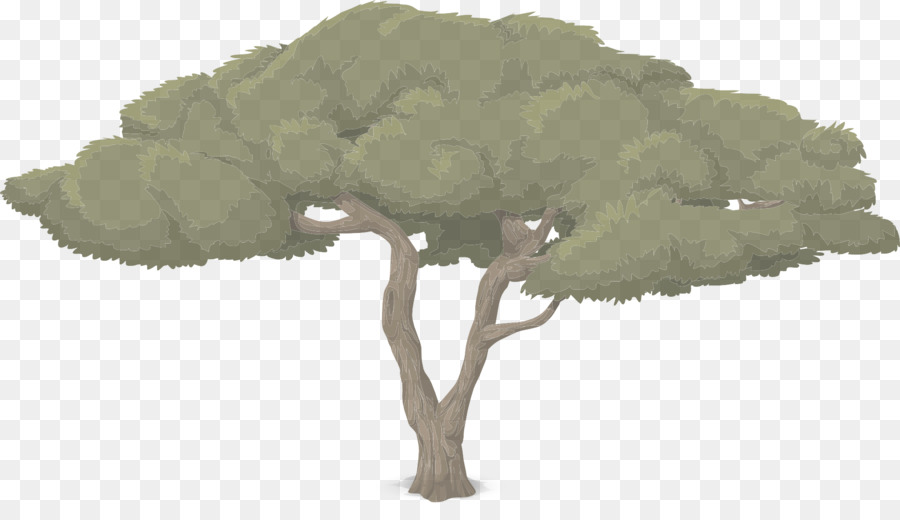 Hoja，Árbol PNG