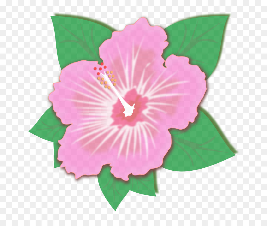 Rosa，Flor PNG