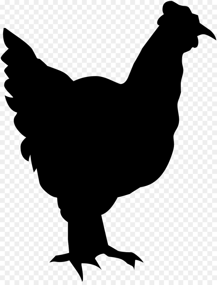 Pollo，Gallo PNG