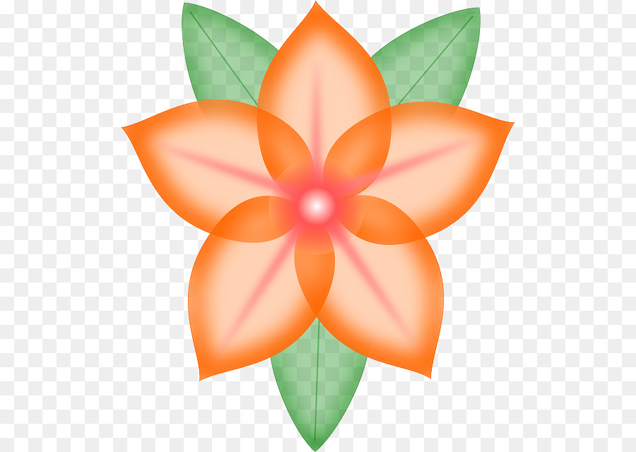 Flor De Naranja，Florecer PNG