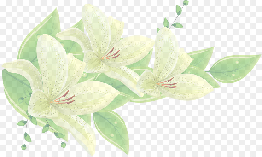 Flores De Lirio，Florecer PNG