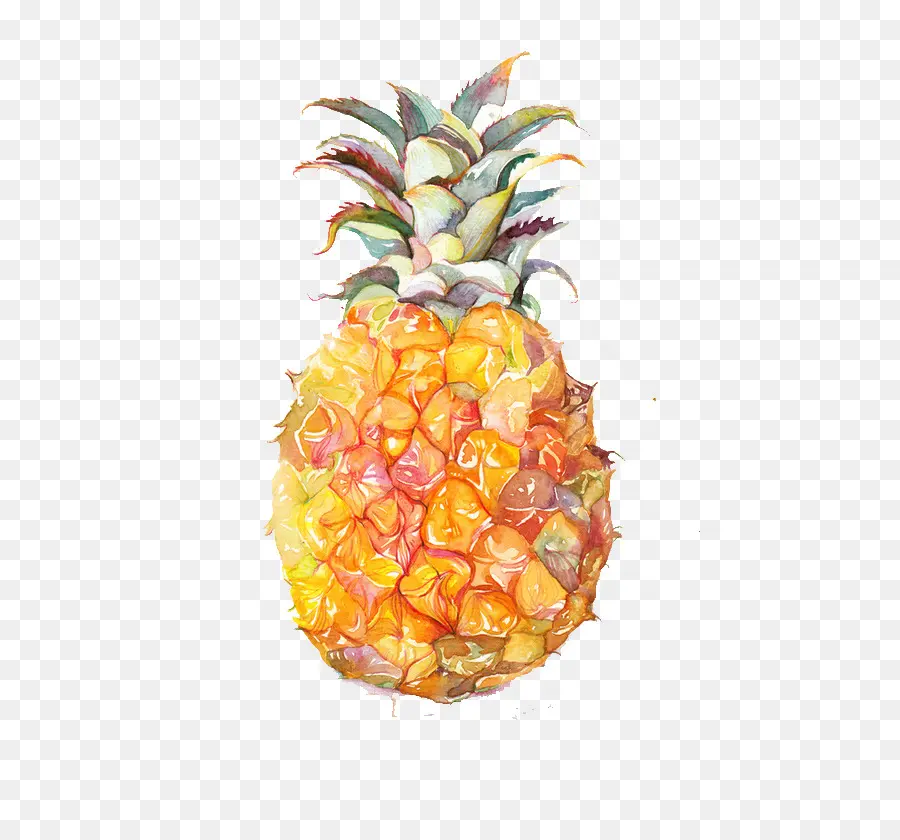 Piña，Ananas PNG