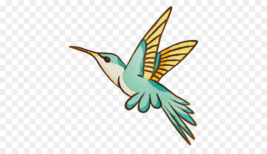 Colibrí，Aves PNG