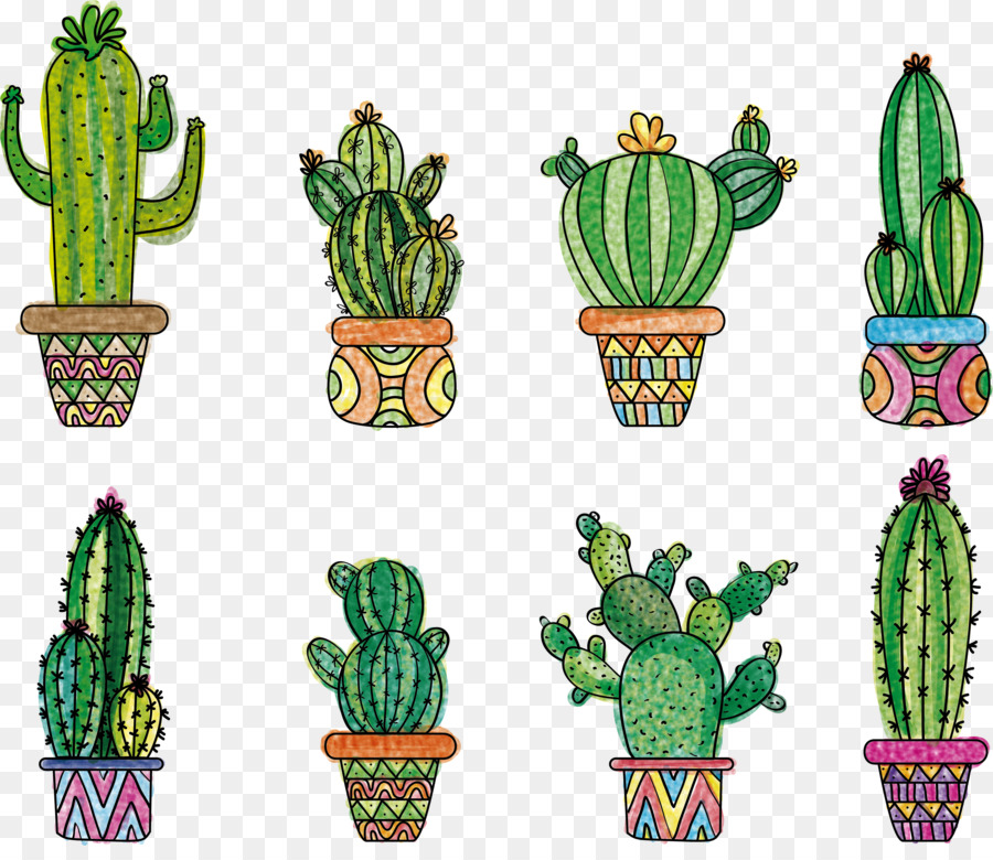 Cactus，Maceta PNG