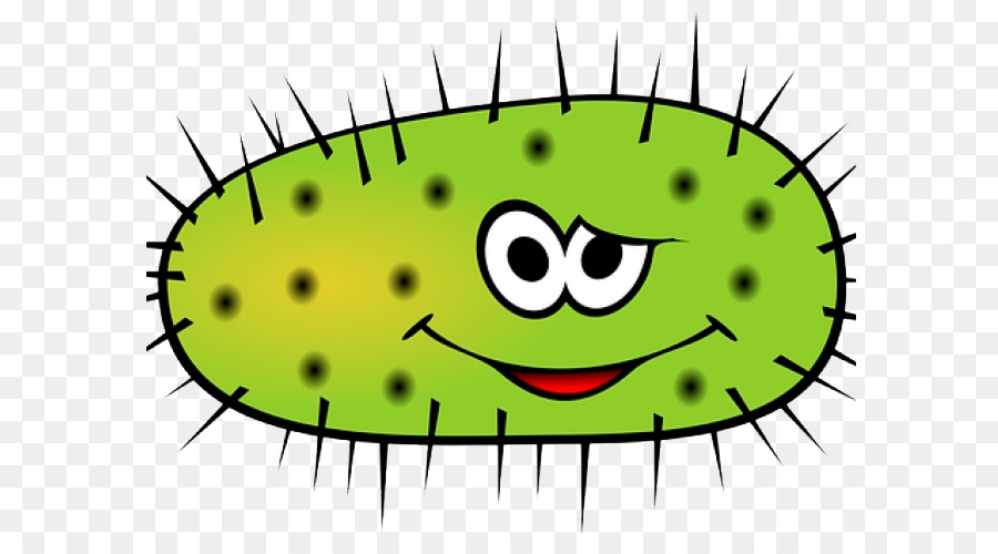 Bacterias，Dibujos Animados PNG