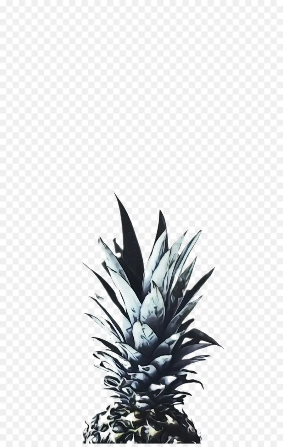 Piña，Ananas PNG