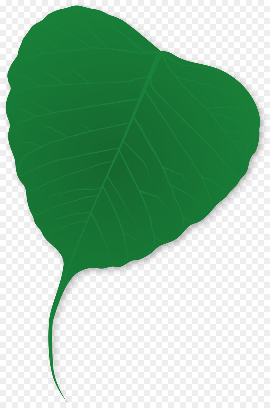 Hoja，Verde PNG