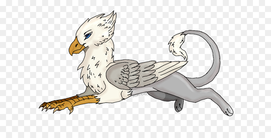 La Historieta，Aves PNG