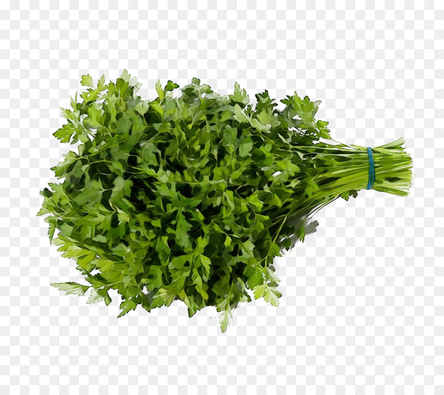 Verde，La Hierba PNG