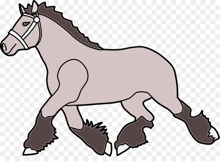 Caballo，Cabello PNG