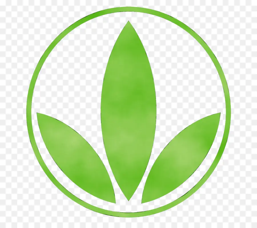 Hojas Verdes，Planta PNG