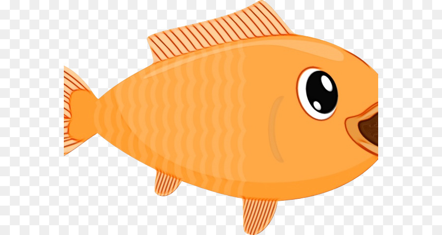 Los Peces，Naranja PNG