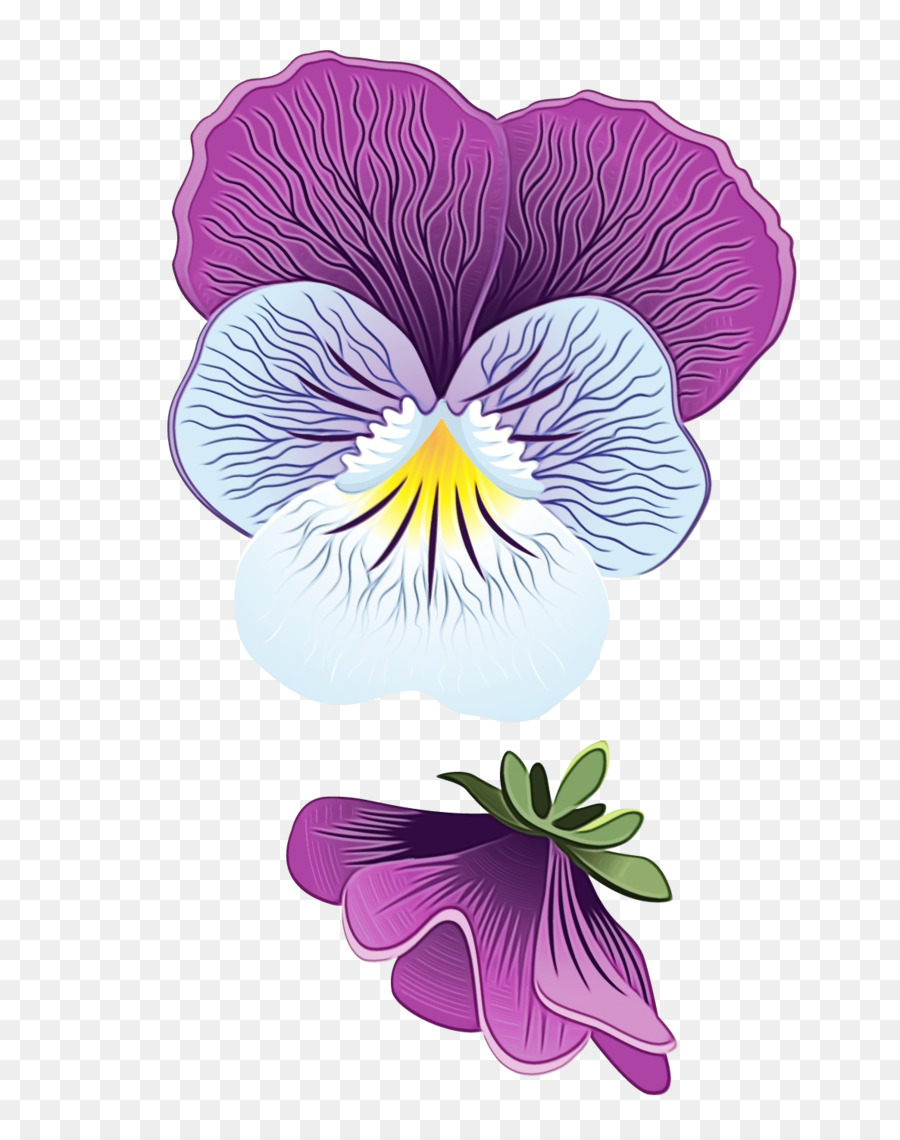 Flor，La Floración De La Planta PNG