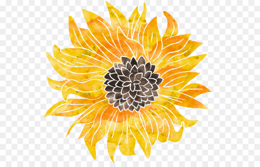 Girasol，Flor PNG