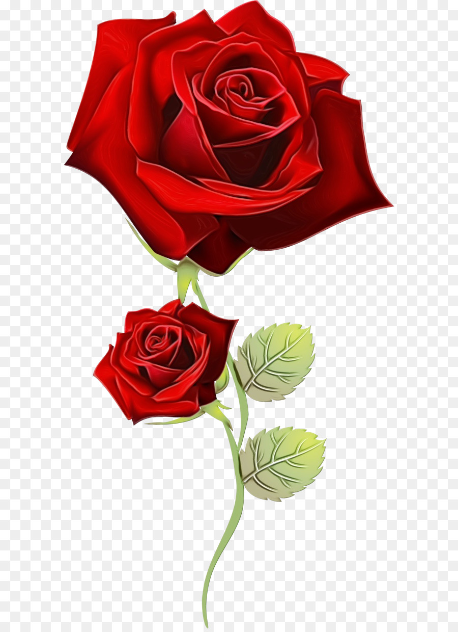 Rosa，Rojo PNG