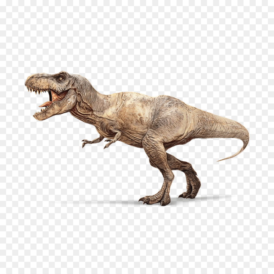 Dinosaurio，Tyrannosaurus PNG