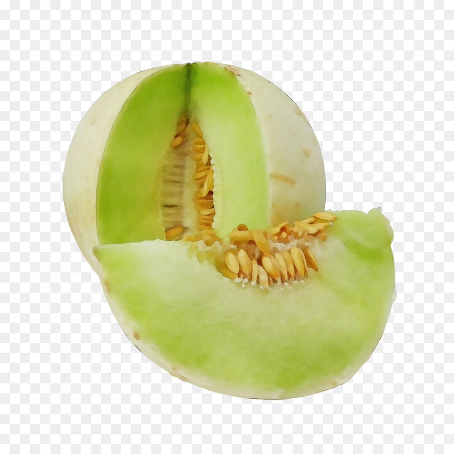 Muskmelon，Melón PNG