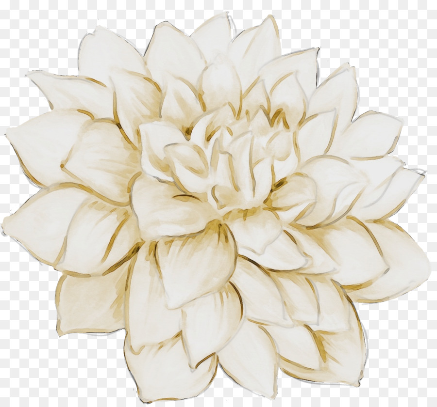 Blanco，Flor PNG