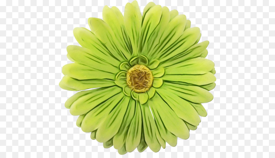 Flor Verde，Flor PNG