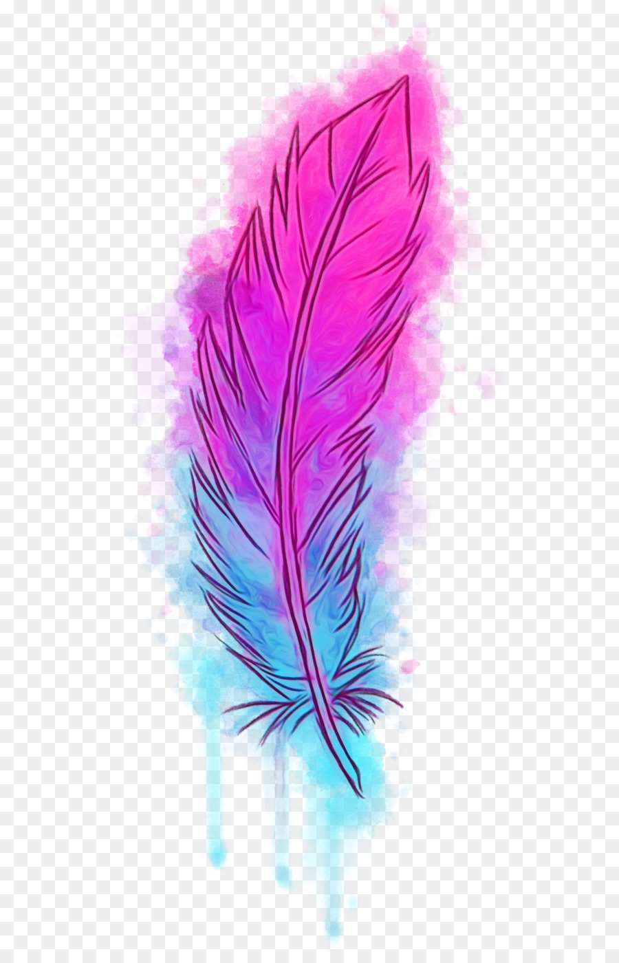 Pluma，Rosa PNG