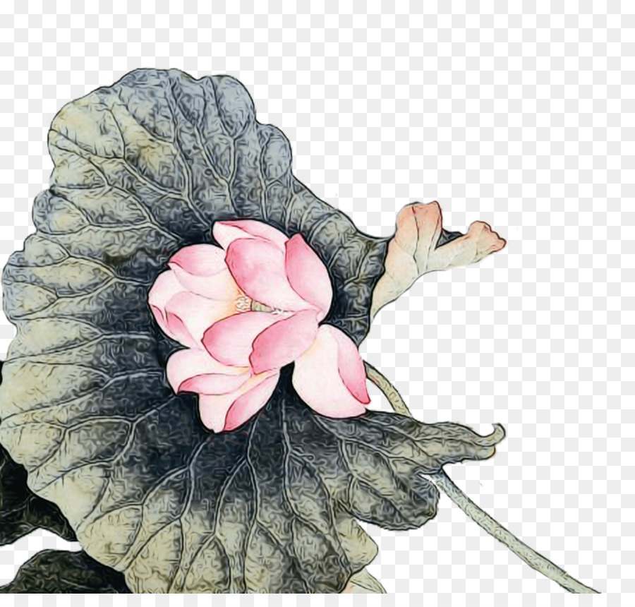 Flor，Rosa PNG