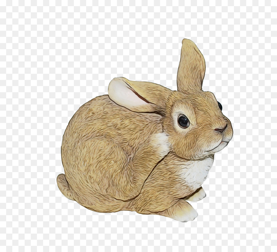 Conejo，Conejito PNG