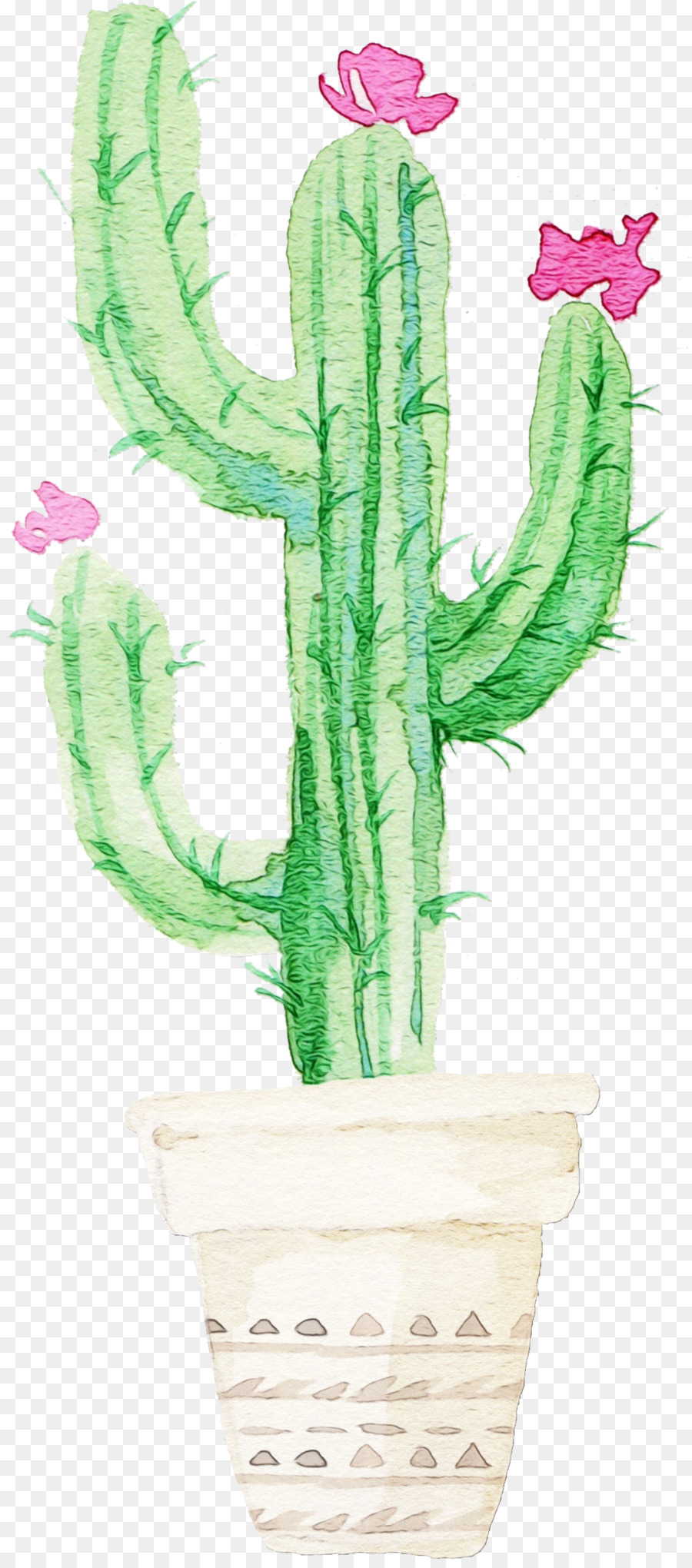 Cactus，Maceta PNG