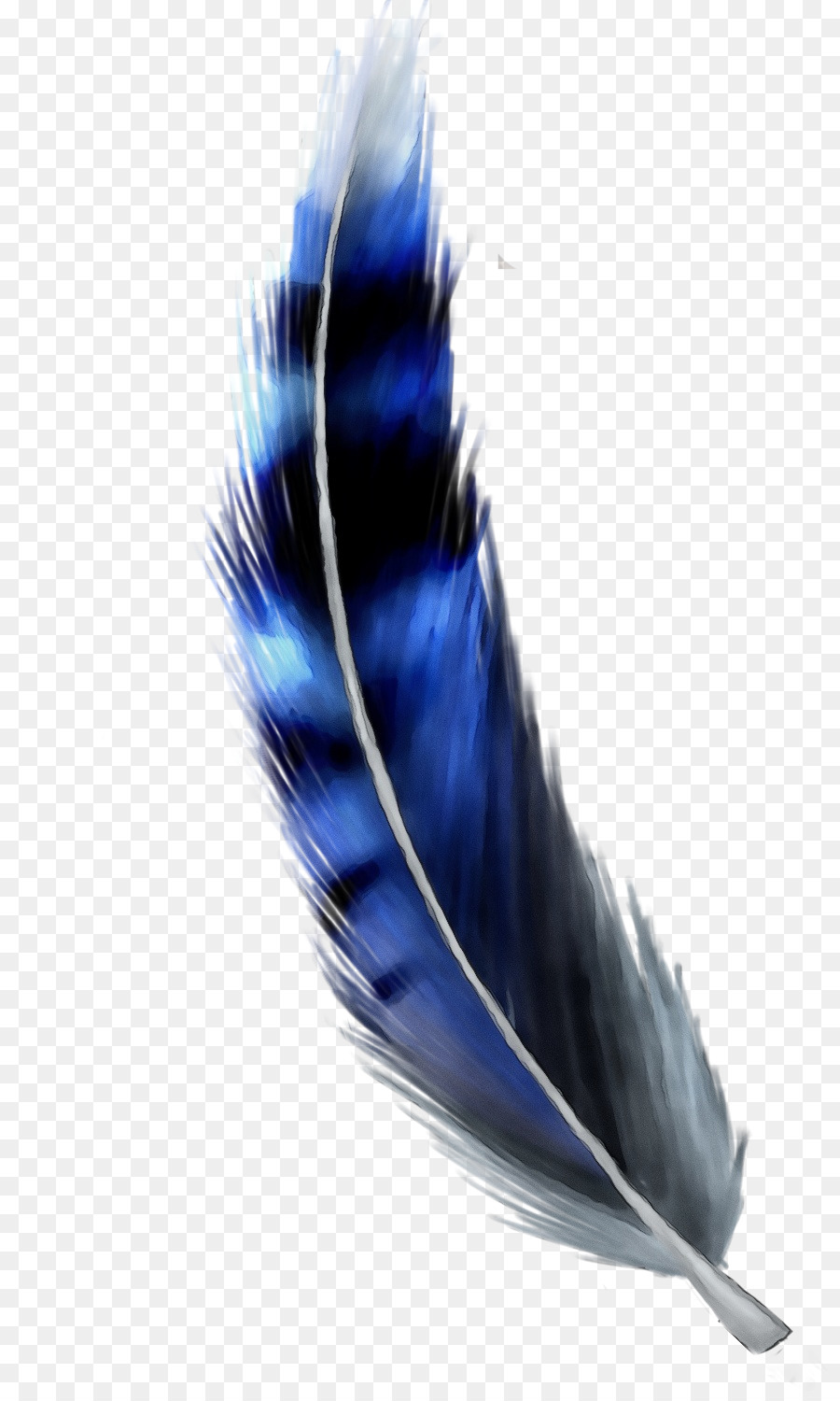 Pluma，Azul PNG