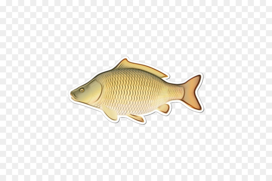 Los Peces，La Carpa PNG