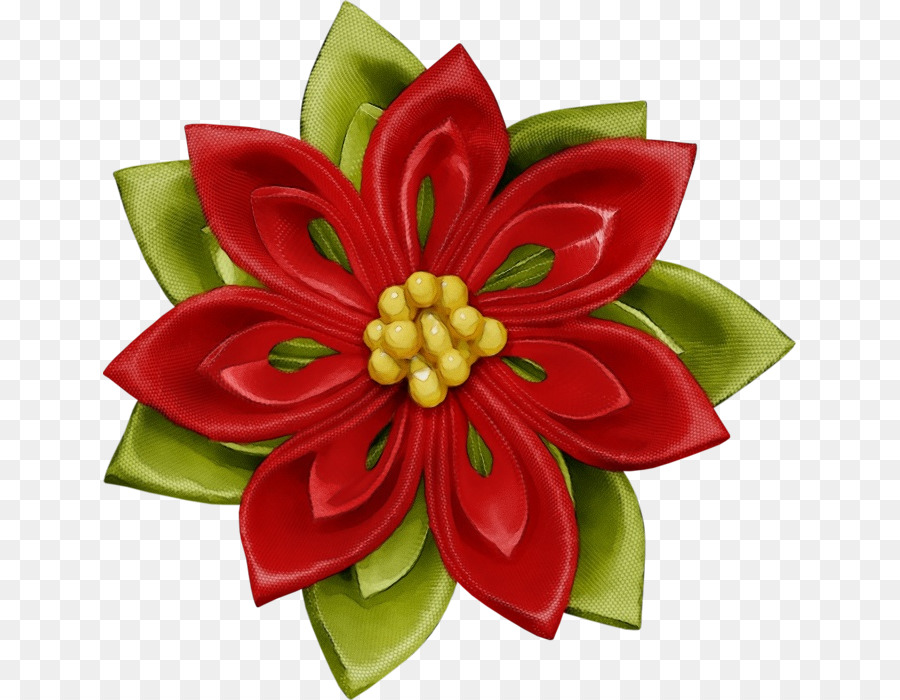 Flor De Pascua，Rojo PNG