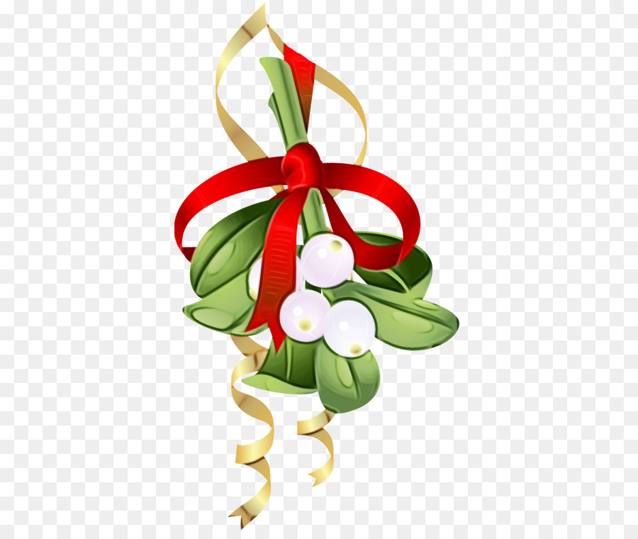 Muérdago，Navidad PNG