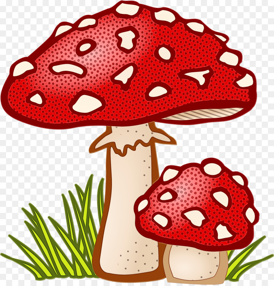 Agaric，Seta PNG