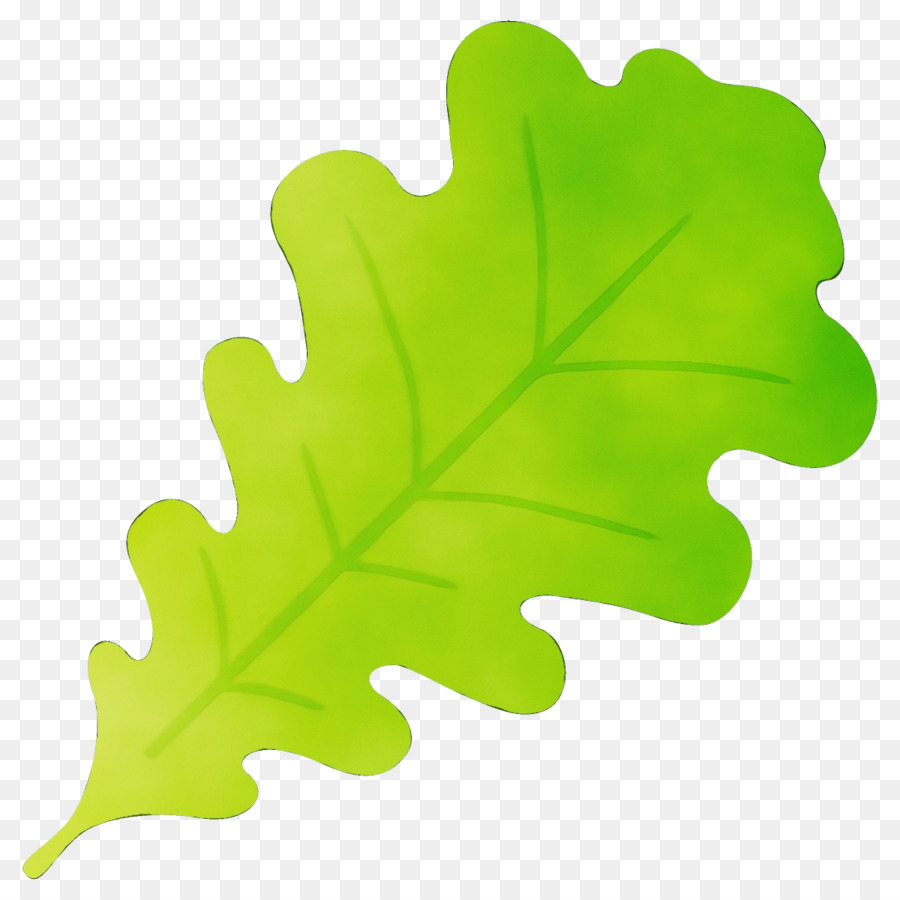 Hoja，Verde PNG