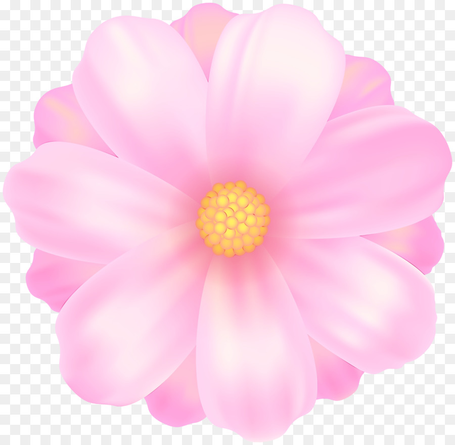 Flor，Rosa PNG