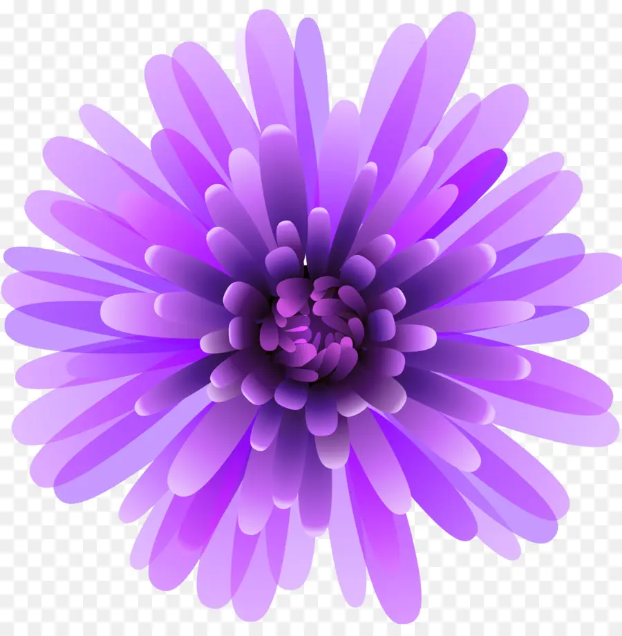 Violeta，Morado PNG