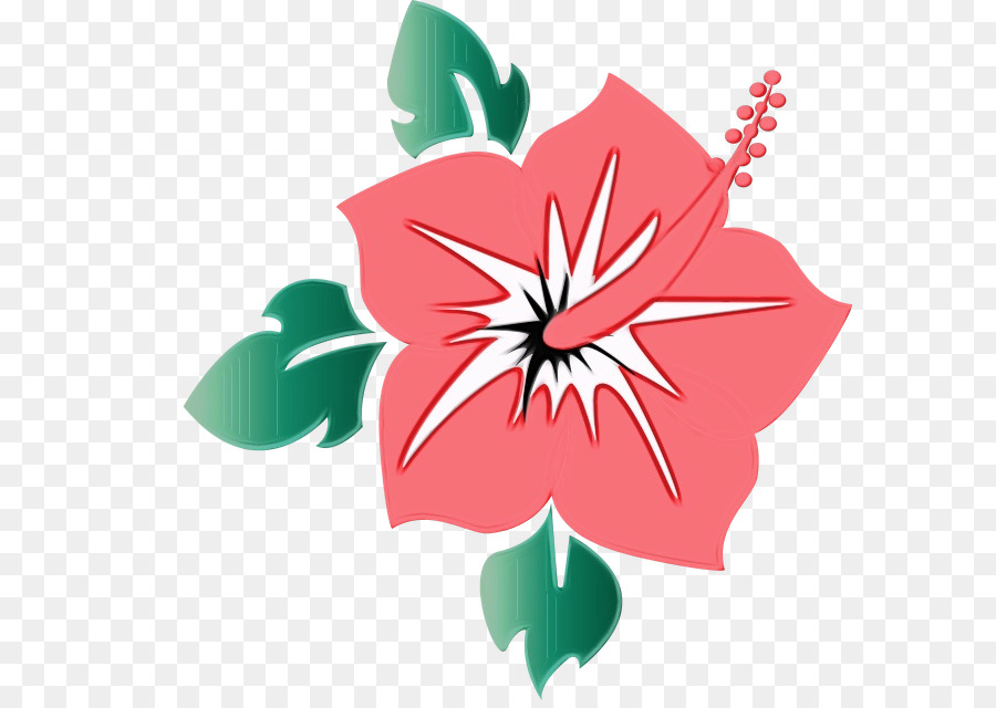 Flor，Florecer PNG