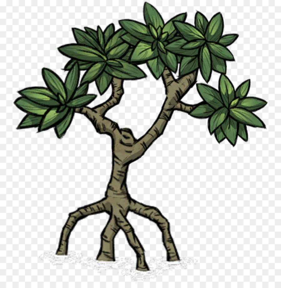 Árbol，Planta PNG