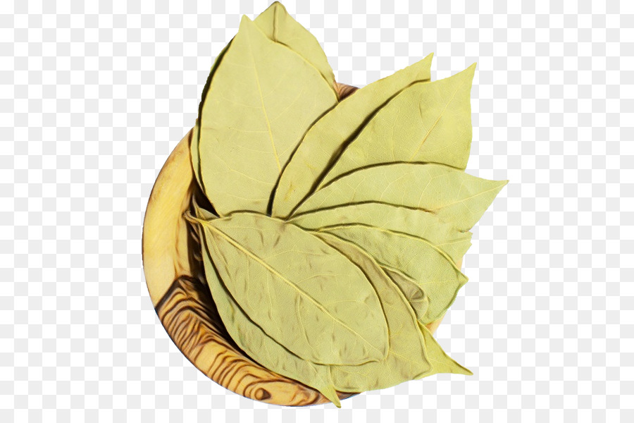 Hoja，Planta PNG