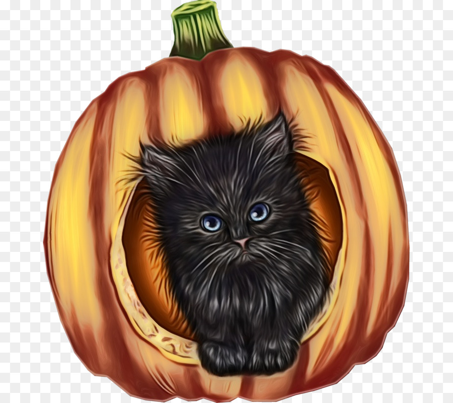 Gatito En Calabaza，Gatito PNG