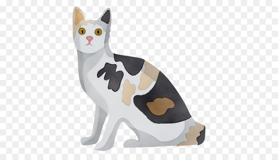 Gato，Blanco PNG