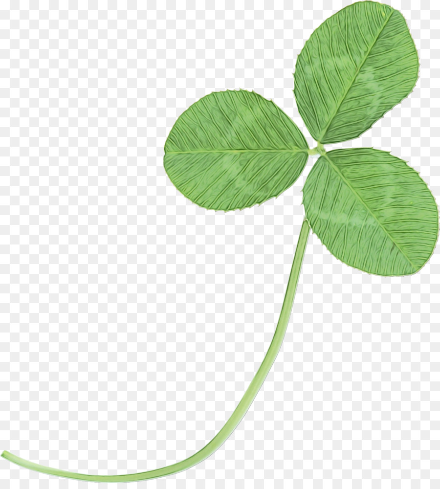 Trébol，Verde PNG