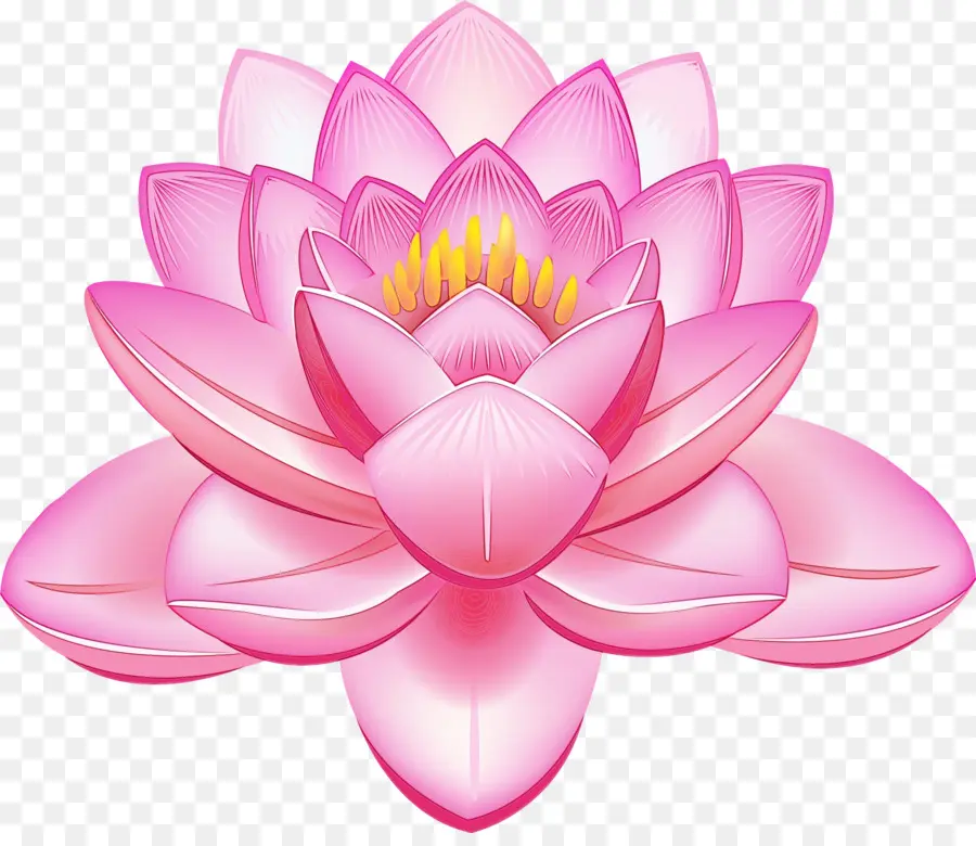 Lotus Familia，Lotus PNG