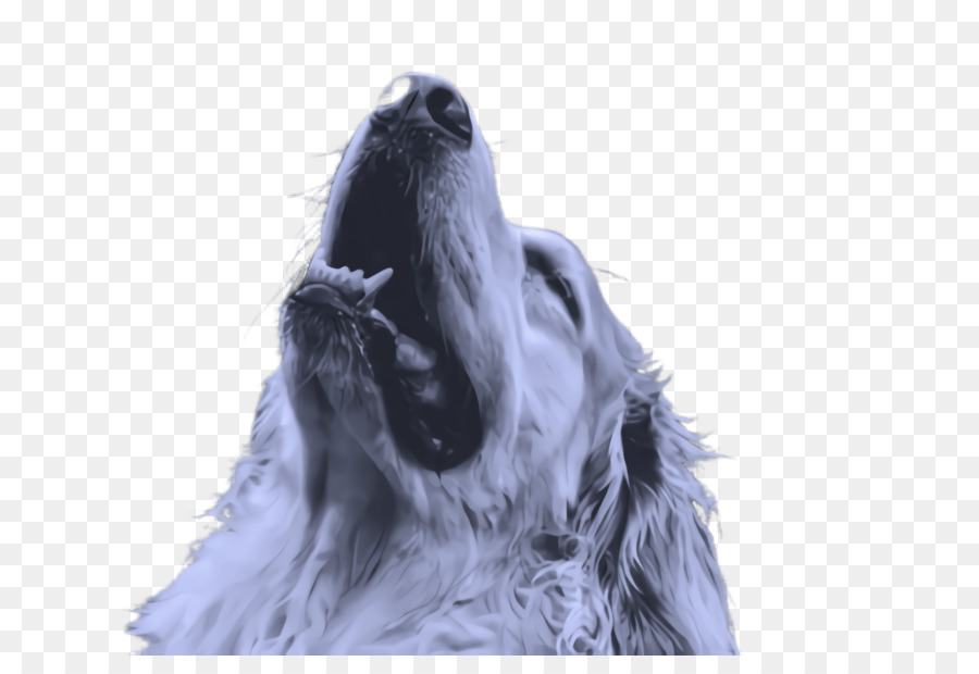 Raza De Perro，Dibujo PNG