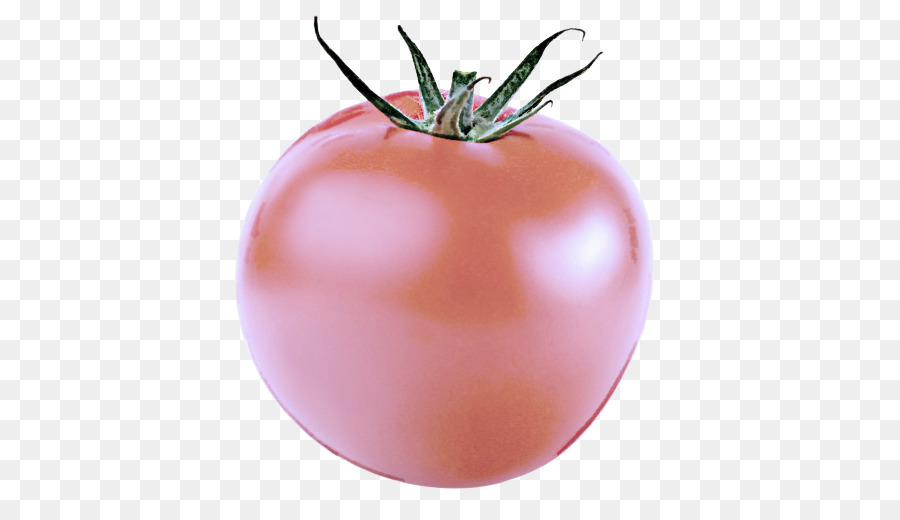 Tomate，Solanum PNG