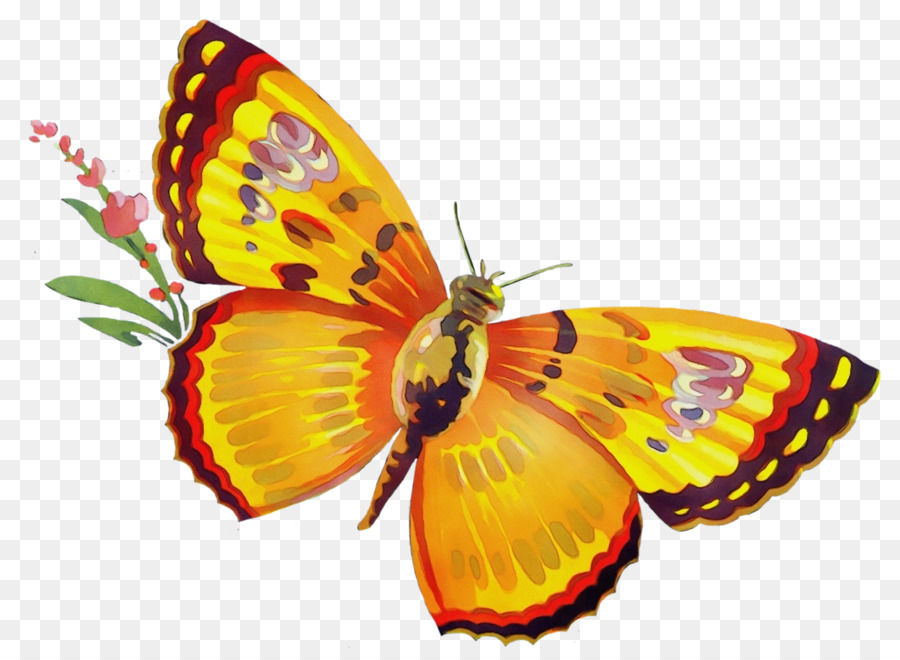 Mariposa，Rojo PNG