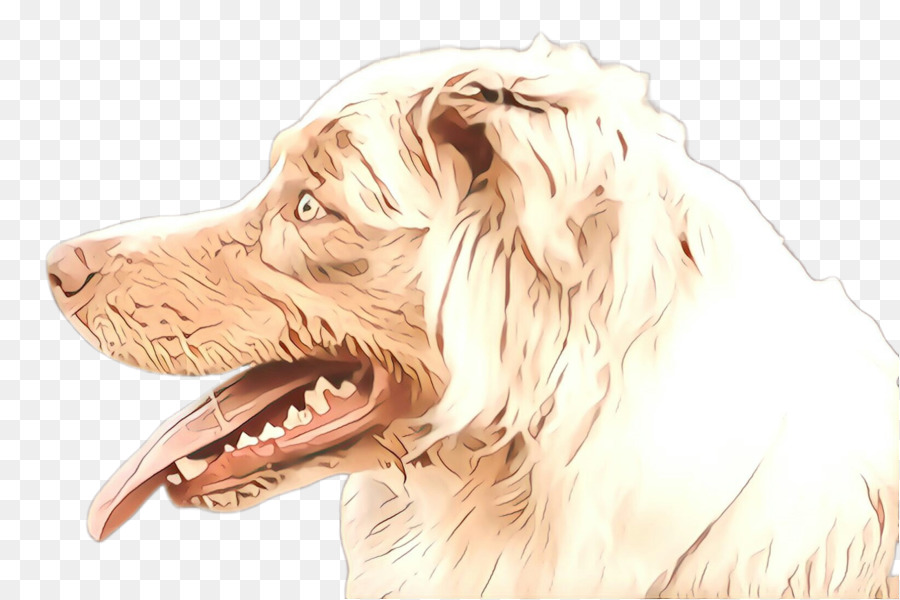 Perro，Raza De Perro PNG