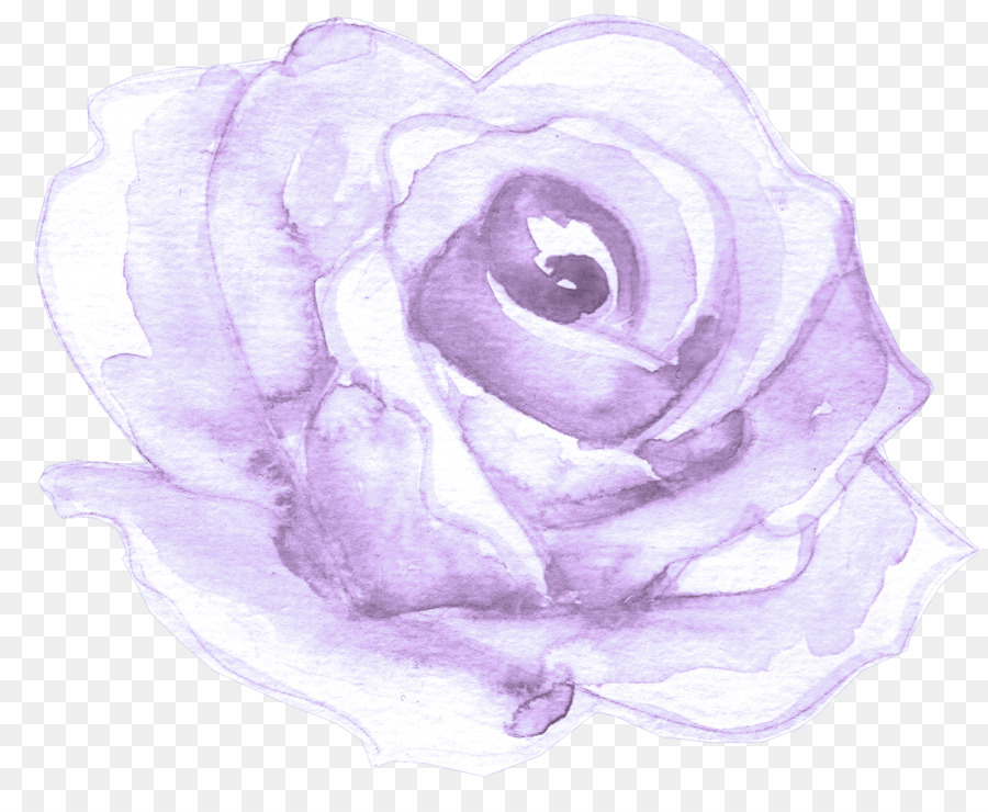 Blanco，Violeta PNG