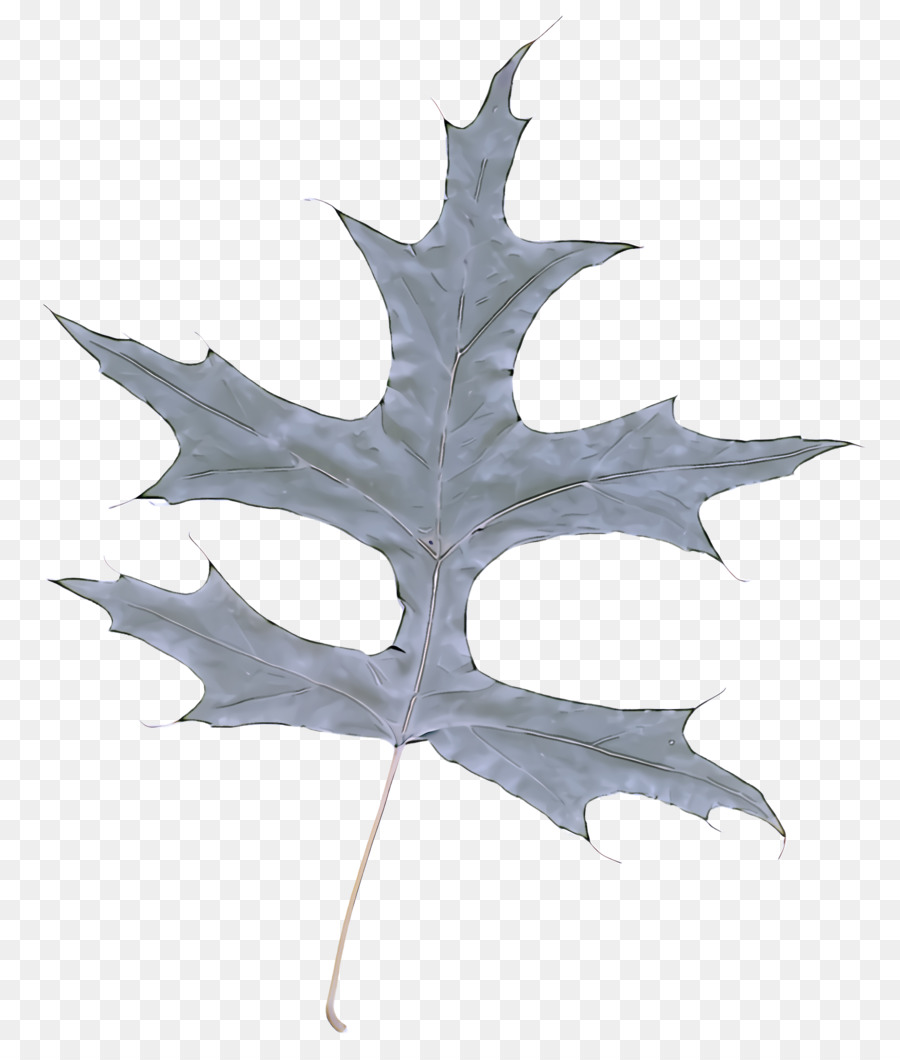 Hoja，Árbol PNG